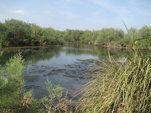 Nahal Taninim